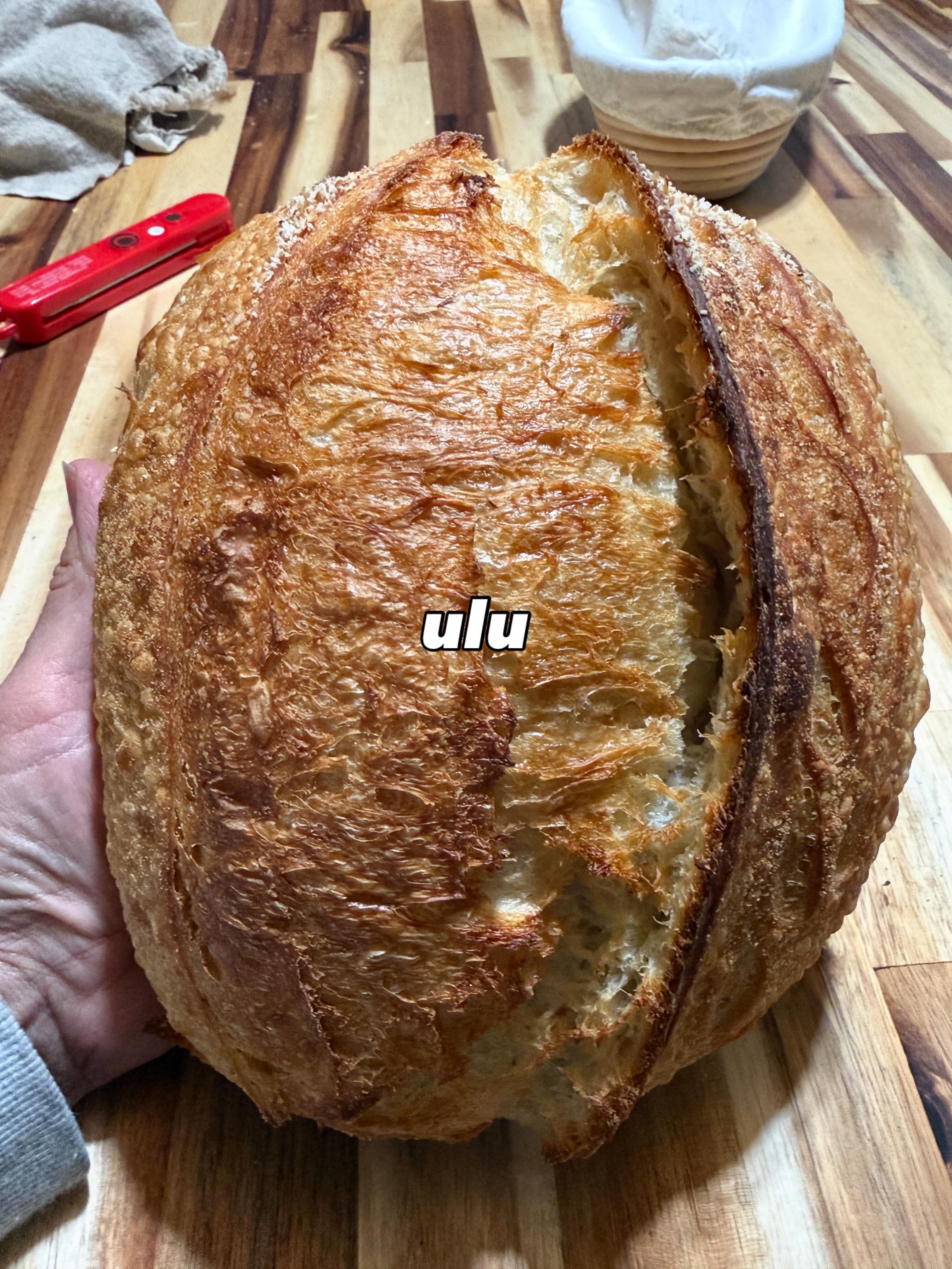 Organic Ulu Sourdough