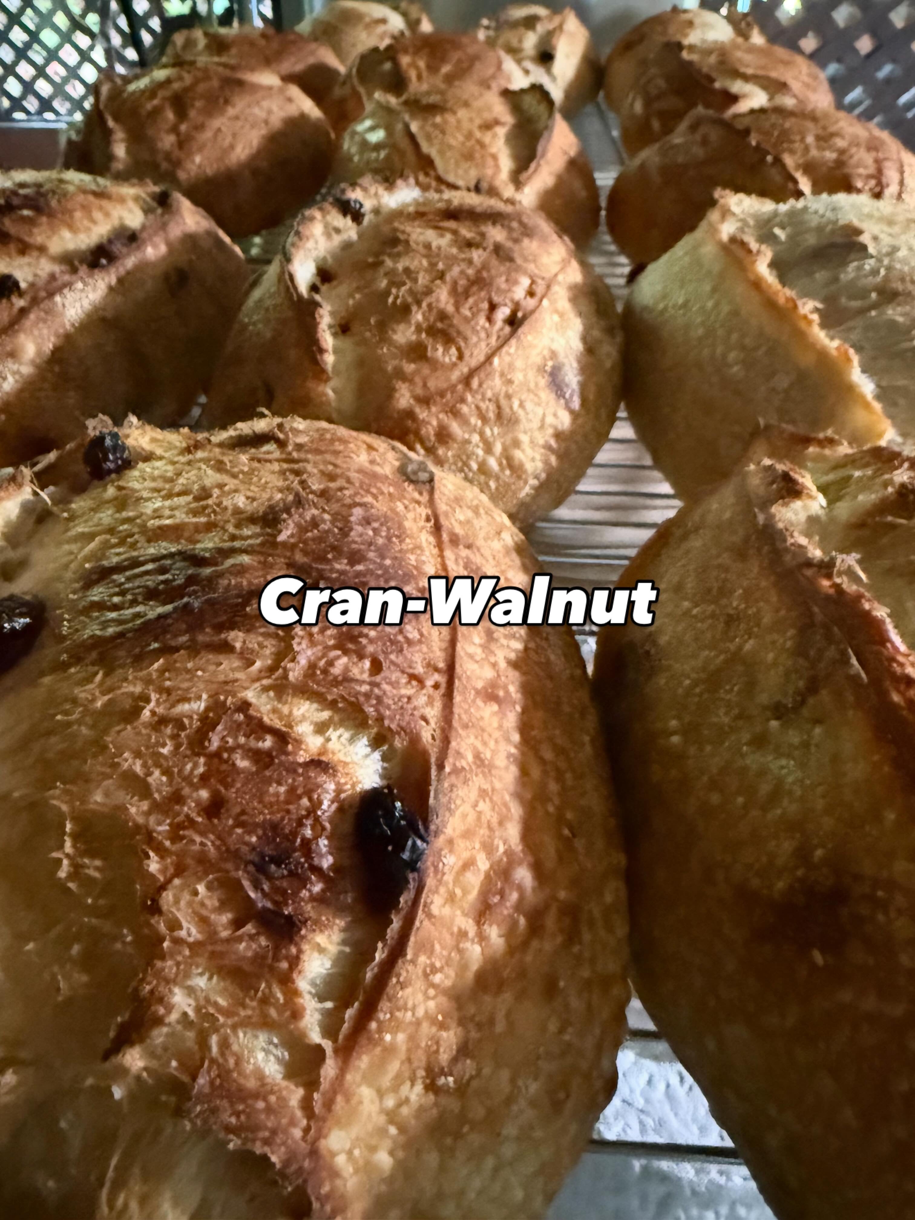 Organic Cranberry-Walnut Sourdough